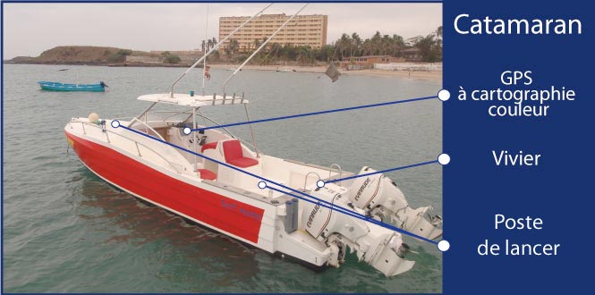 bateau west marine catamaran bateau west marine catamaran