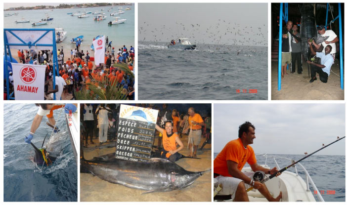 ngor marlin cup ngor marlin cup