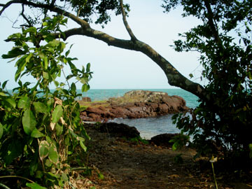 IMGP0336.jpg