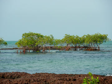 IMGP0351.jpg