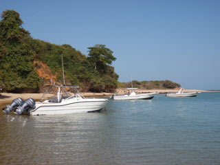 P5090663.jpg