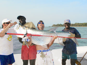 Tarpon1.jpg