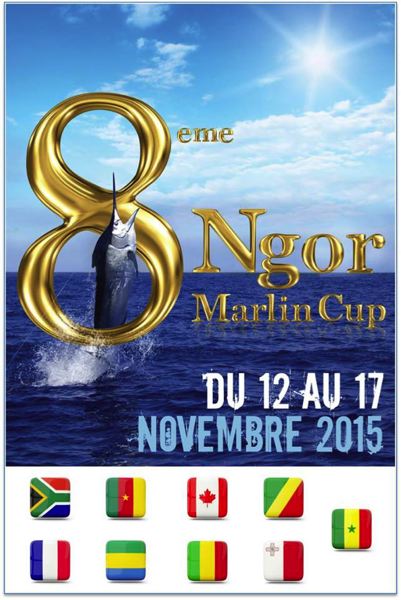 affiche NMC2015